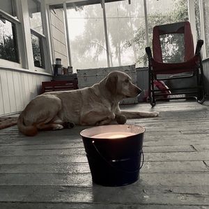 Meet your Posher, Courtney